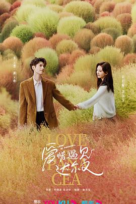 重庆专业网站优化seo